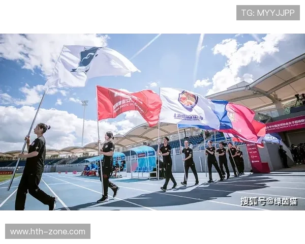 保级区混战分析:升班马生存策略对比